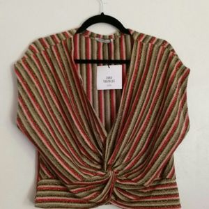 Zara metallic striped crop top